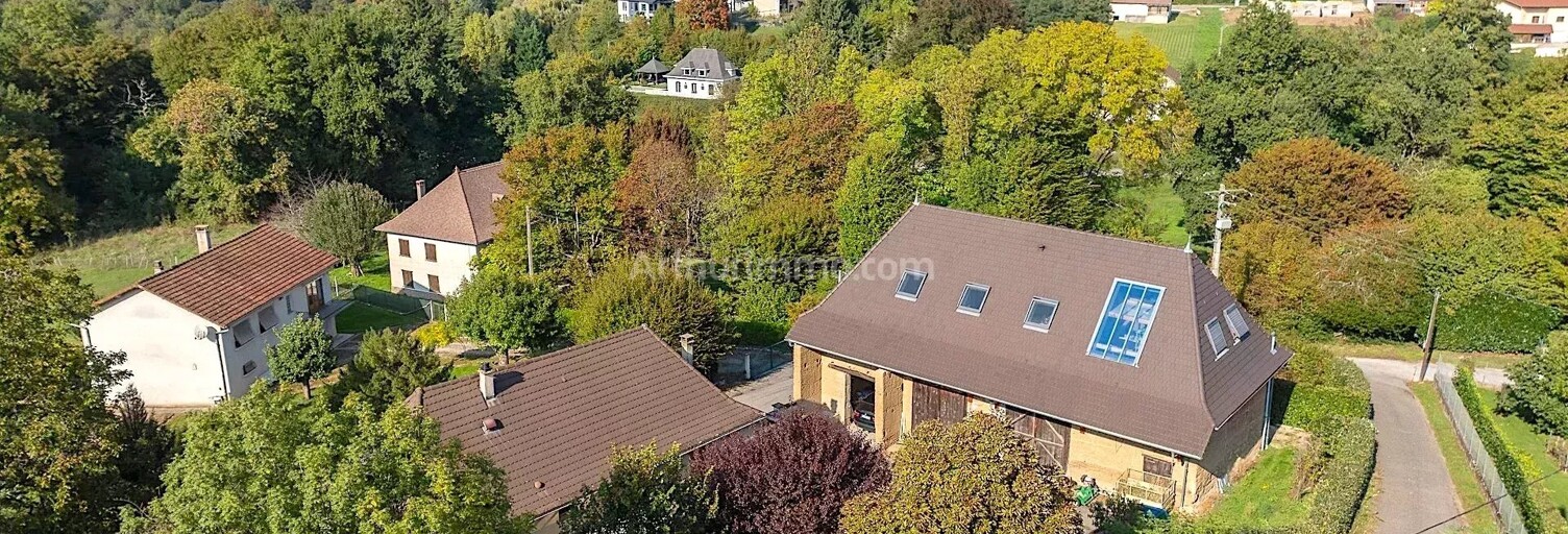 Maison 12 Pièces 274 m² à vendre à Corbelin (38630)