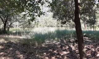 Terrain  6690 m² à vendre à Figanières (83830)