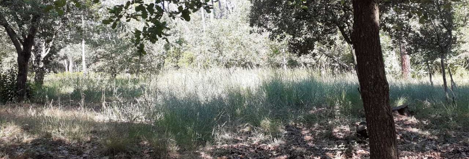 Terrain  6690 m² à vendre à Figanières (83830)