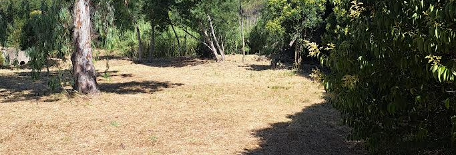 Terrain 1272 m² à construire Fréjus (83600)