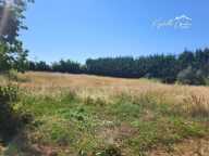 A Champvans grand terrain en partie constructible! — photo 3