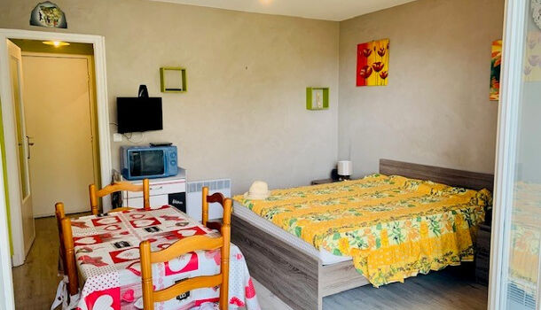 Appartement 1 pièces  à vendre Amélie-les-Bains-Palalda 66110