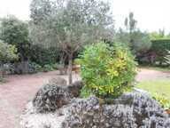 EXCLUSIVITÉ — photo 2