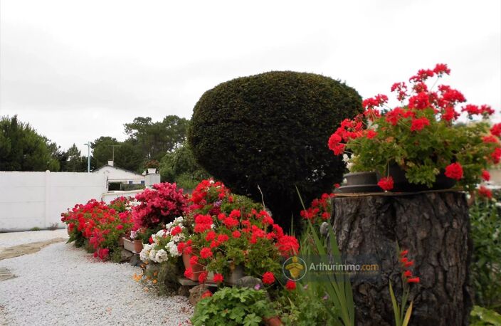 EXCLUSIVITÉ - SAINT JEAN DE MONTS — photo 2