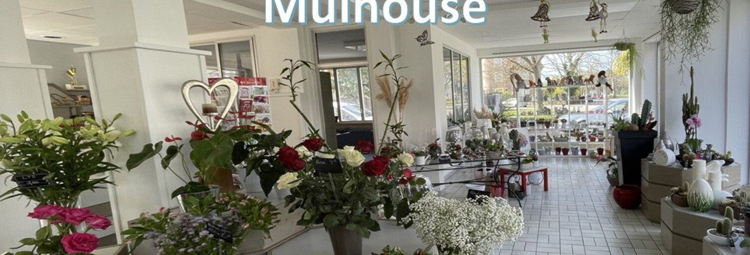 Commerce  285 m² à vendre à Mulhouse (68100)