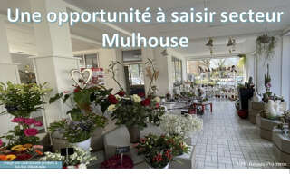 Commerce  245 m² à vendre à Mulhouse (68100)