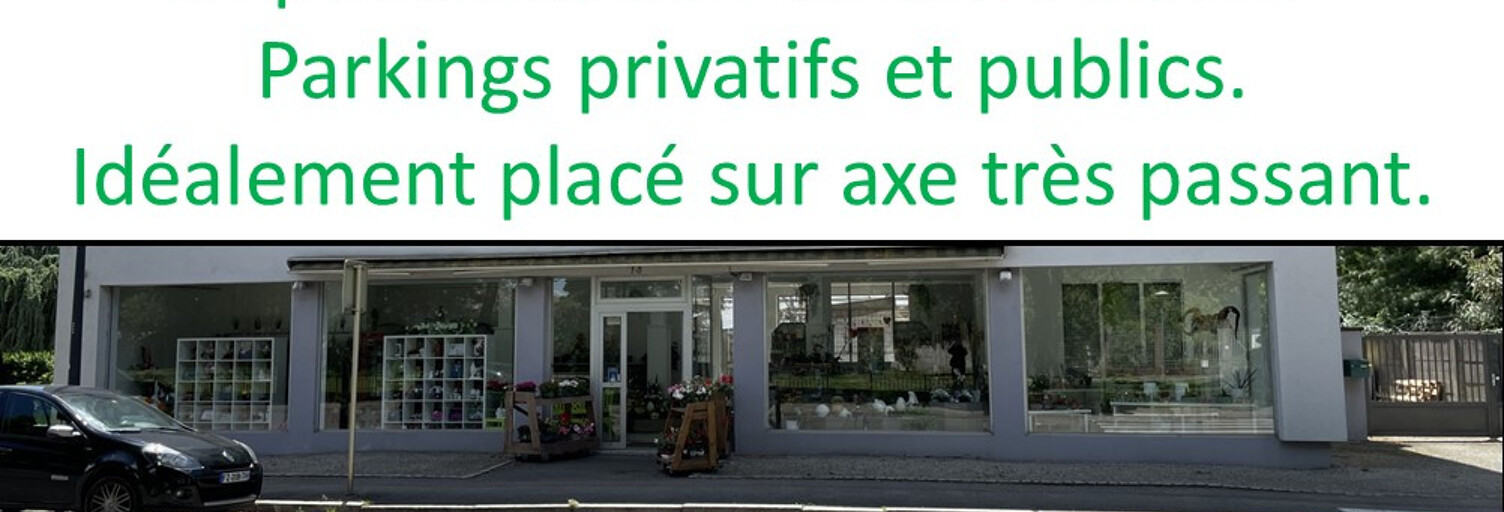 Commerce  245 m² à vendre à Mulhouse (68100)