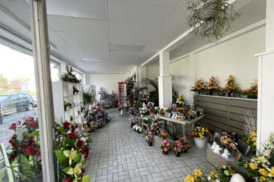 Commerce  577500 €