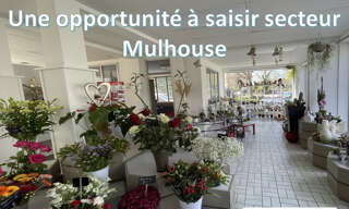 Commerce  285 m² à vendre à Mulhouse (68100)