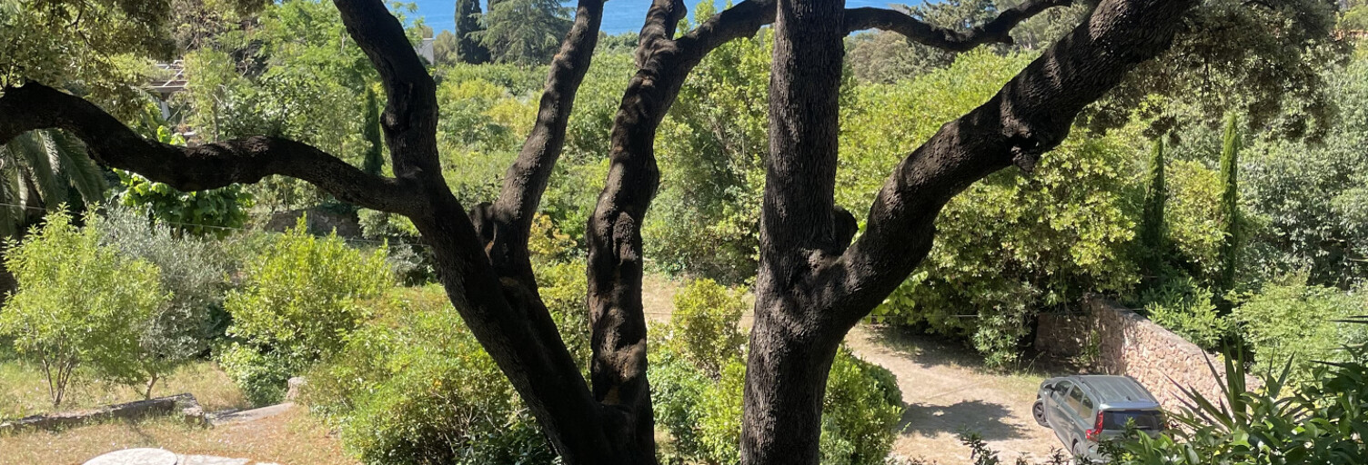 Maison 8 Pièces 160 m² à vendre à Sète (34200)