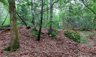 Terrain  9088 m² à vendre à Champagney (70290)