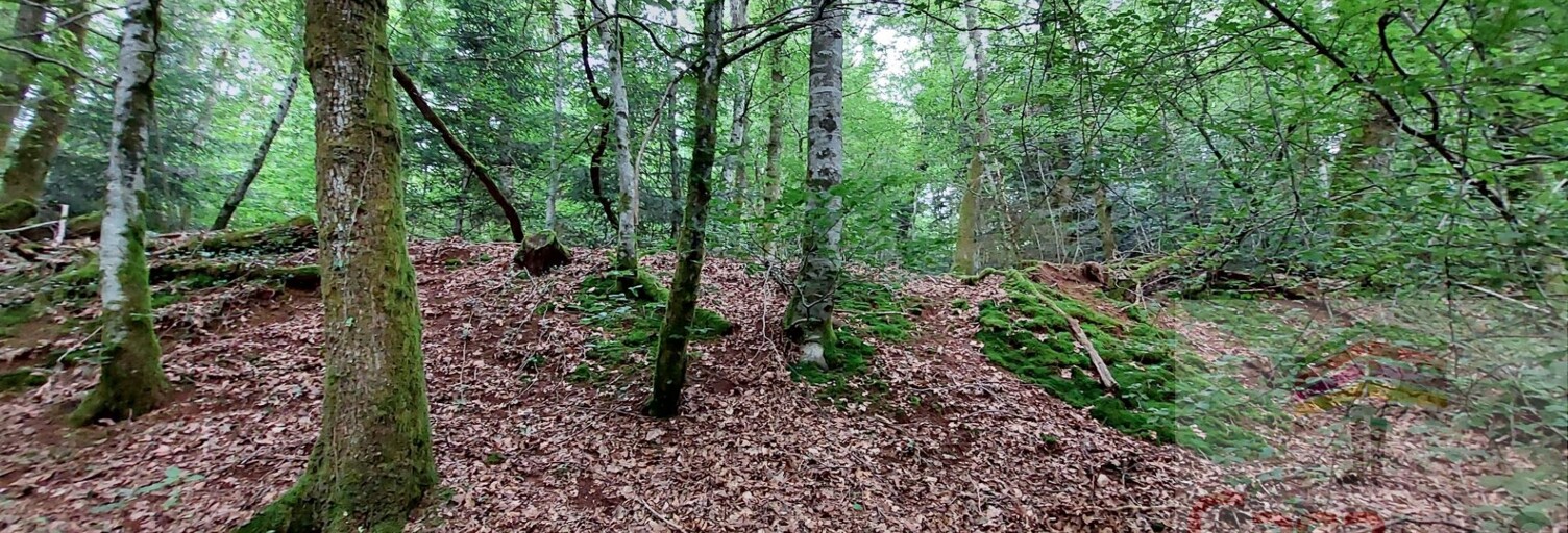 Terrain  9088 m² à vendre à Champagney (70290)