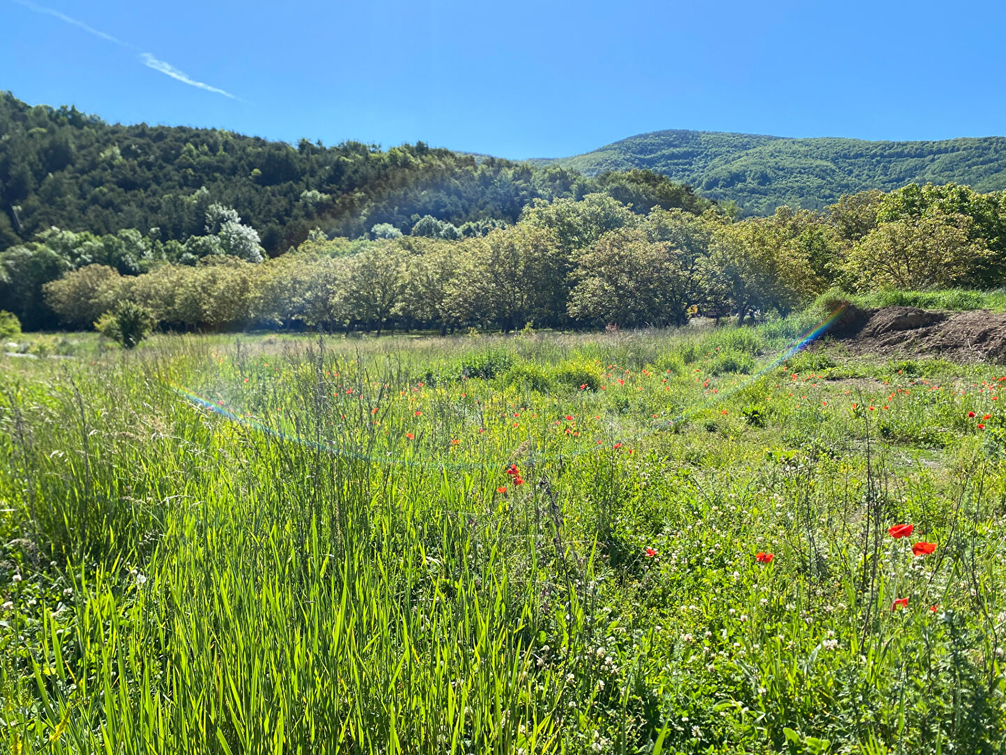 Agence immobilière de Square Habitat Sud Hautes Alpes