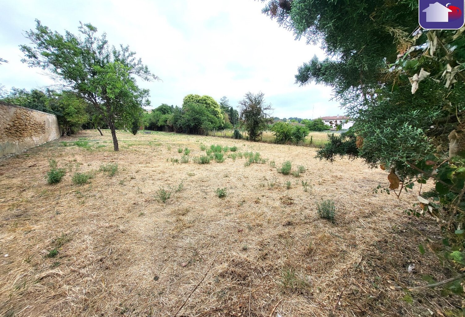 Vente terrain  1435 m² Belpech (11420) — photo 1