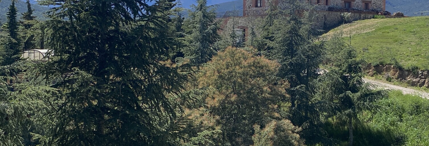 Maison 4 Pièces 132 m² à vendre à Fourques (66300)