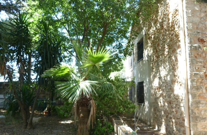 Ancien chai viticole rénové   240 m2 habitables   Parcelle d — photo 2