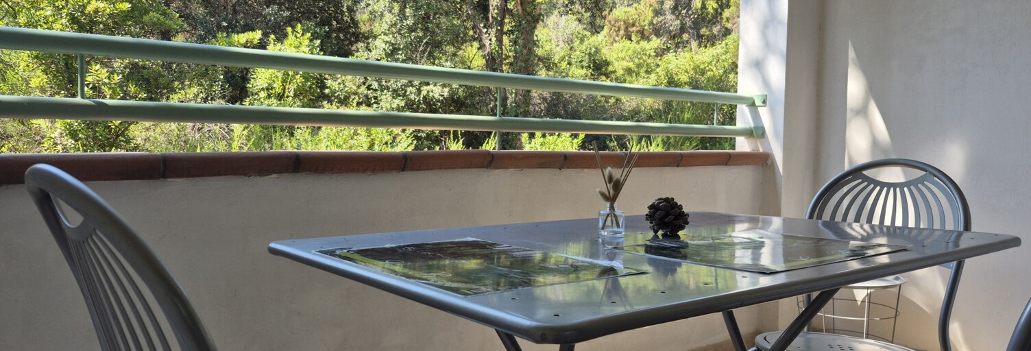 Appartement 2 Pièces 33 m² à vendre à Linguizzetta (20230)