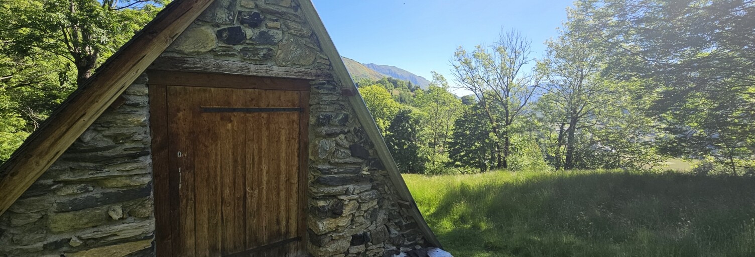 Maison 1 Pièce 55 m² à vendre à Arrens-Marsous (65400)