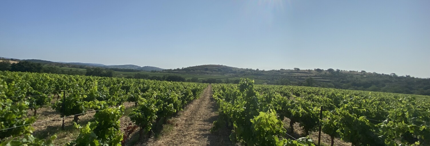 Terrain  105426 m² à vendre à Pouzolles (34480)