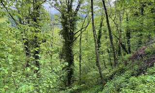 Terrain  13466 m² à vendre à Aulus-les-Bains (09140)