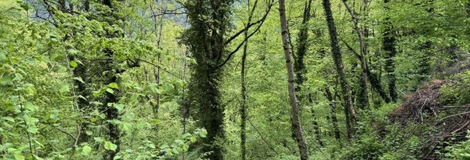 Terrain  13466 m² à vendre à Aulus-les-Bains (09140)