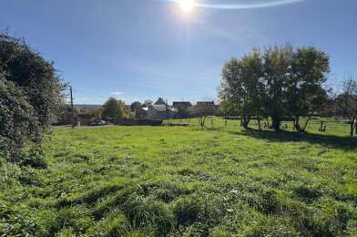 Terrain  40000 €