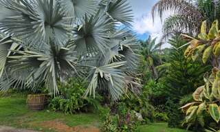 Maison 9 Pièces 180 m² à vendre à Baie-Mahault (97122)