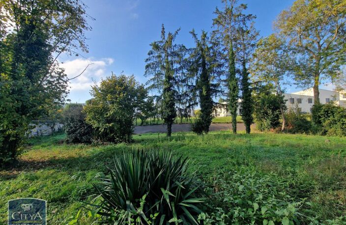 Vente maison 8 pièces 163 m² Saumur (49400) — photo 4