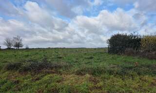 Terrain  9235 m² à vendre à Saunay (37110)