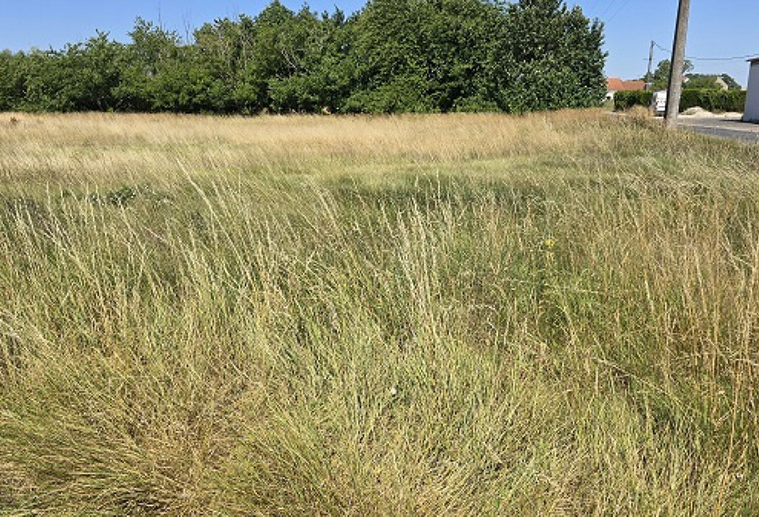 10 MN DE BEAUGENCY — photo 1