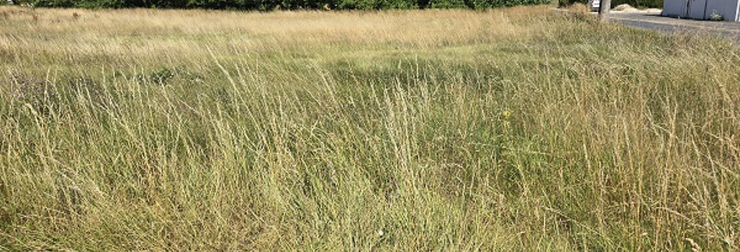 Terrain  791 m² à vendre à Cravant (45190)