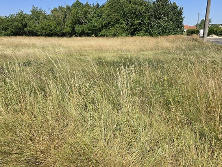 10 MN DE BEAUGENCY — photo 1