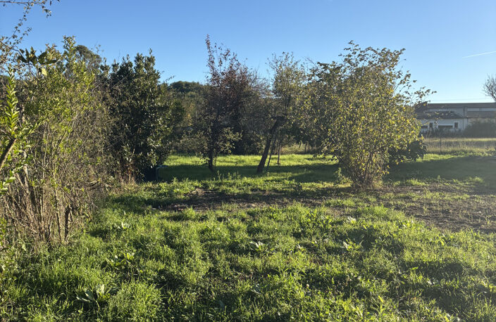 Terrain constructible Briatexte 81Tarn proche centre ville — photo 3