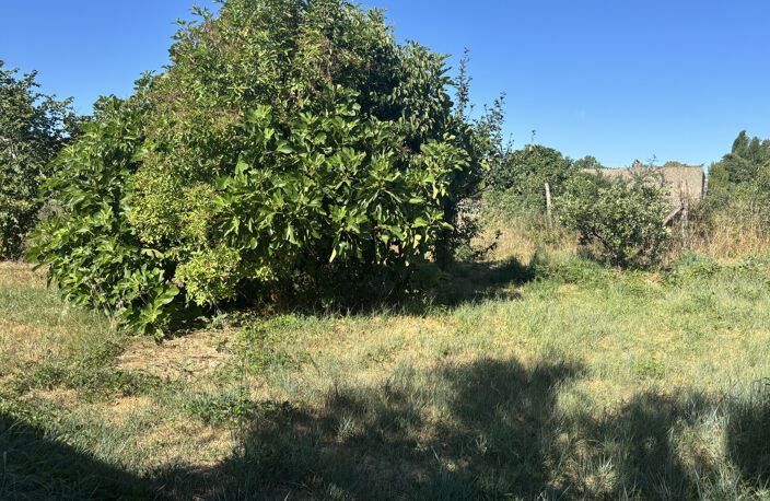 Terrain constructible Briatexte 81Tarn proche centre ville — photo 4