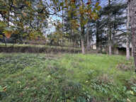 Maison avec grand terrain — photo 4