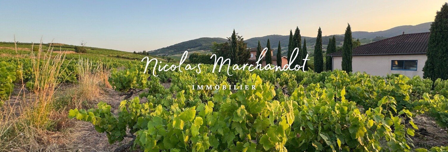 Commerce  380000 m² à vendre à Lantignié (69430)