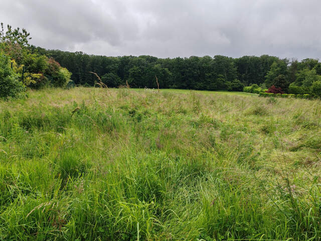 TERRAIN A BATIR — photo du bien