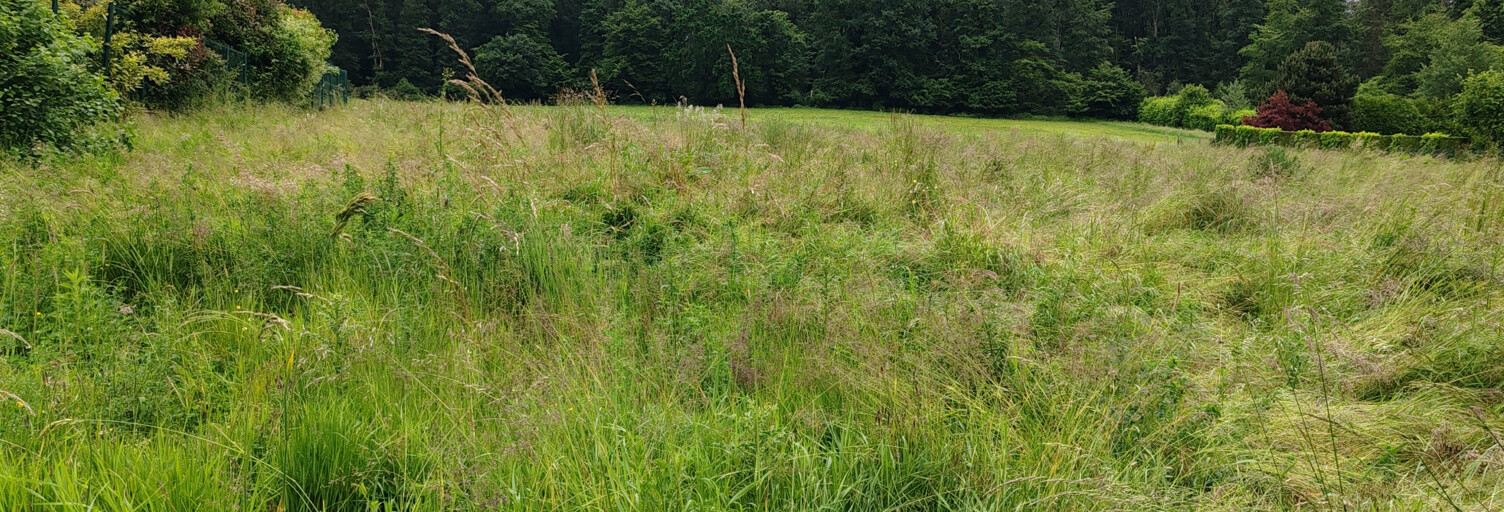 Terrain  1250 m² à vendre à Crépy-en-Valois (60800)