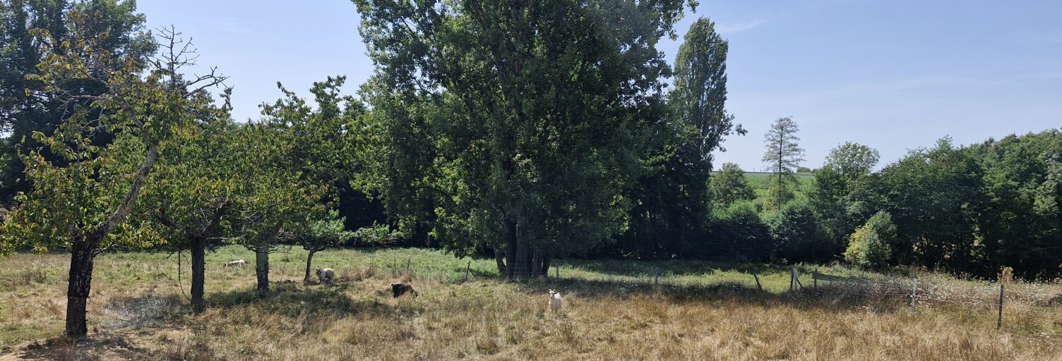 Terrain  1433 m² à vendre à Pellegrue (33790)