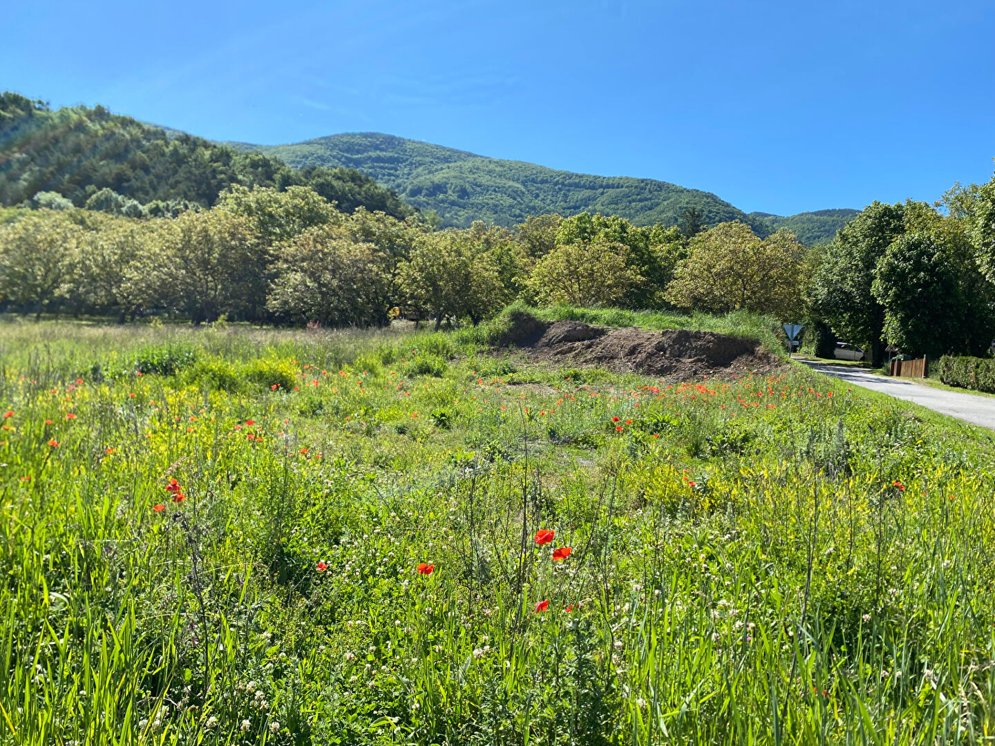 Agence immobilière de Square Habitat Sud Hautes Alpes