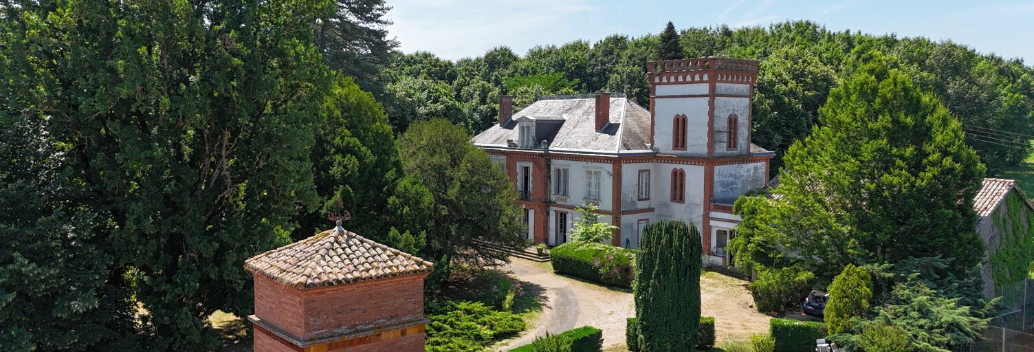 Maison 10 Pièces 840 m² à vendre à Labastide-Saint-Pierre (82370)