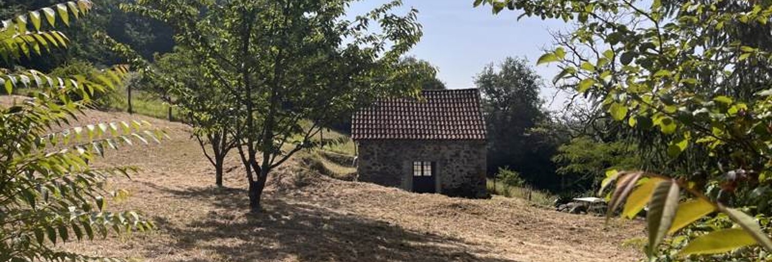 Maison 1 Pièce 20 m² à vendre à Beaulieu-sur-Dordogne (19120)