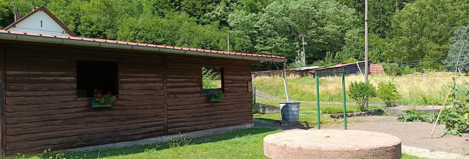 Maison 5 Pièces 133 m² à vendre à Lutzelbourg (57820)