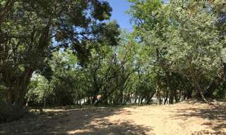 Terrain  1113 m² à vendre à La Brée-les-Bains (17840)