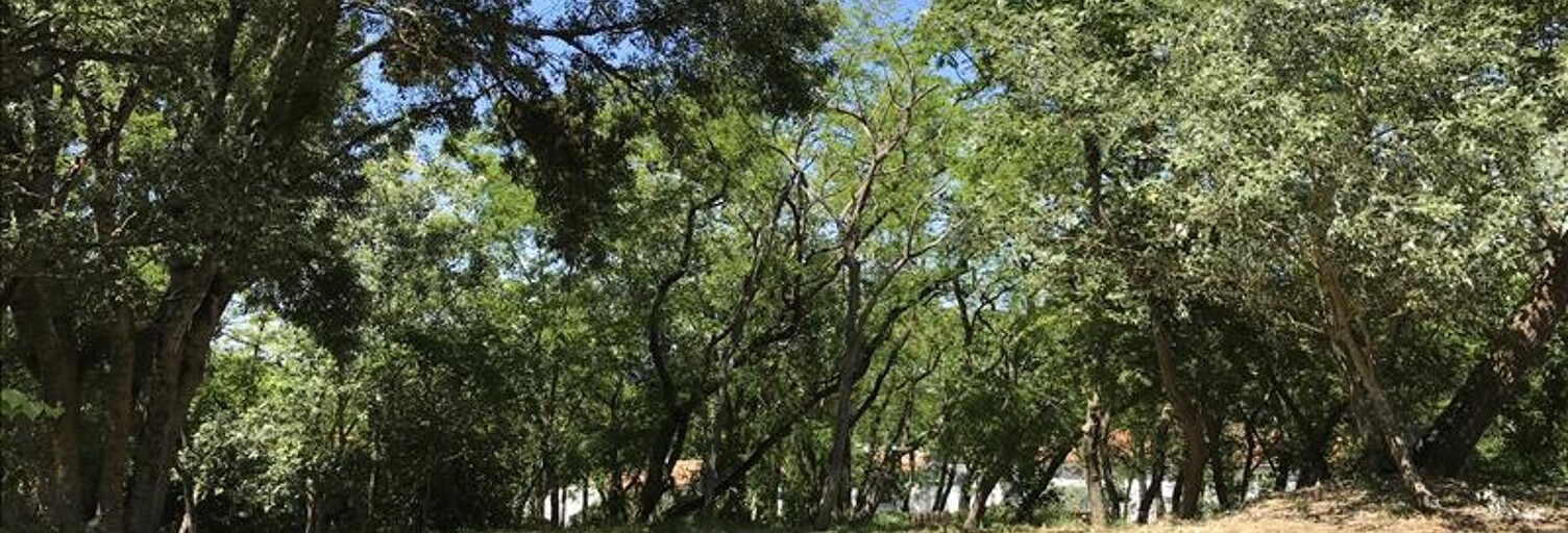 Terrain  1113 m² à vendre à La Brée-les-Bains (17840)