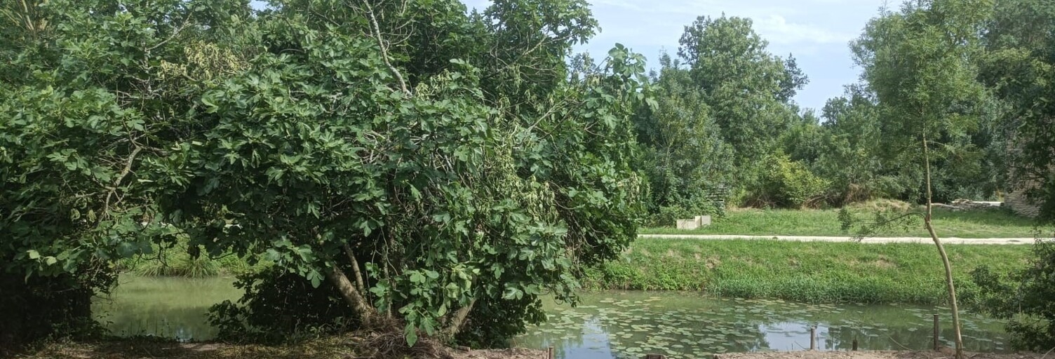 Maison 4 Pièces 135 m² à vendre à Maillé (85420)