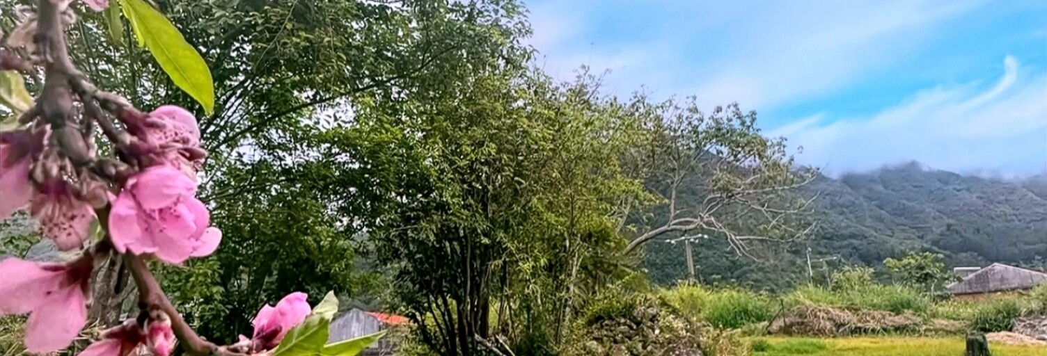 Terrain  509 m² à vendre à Saint-Louis (97421)