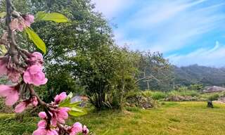 Terrain  509 m² à vendre à Saint-Louis (97421)