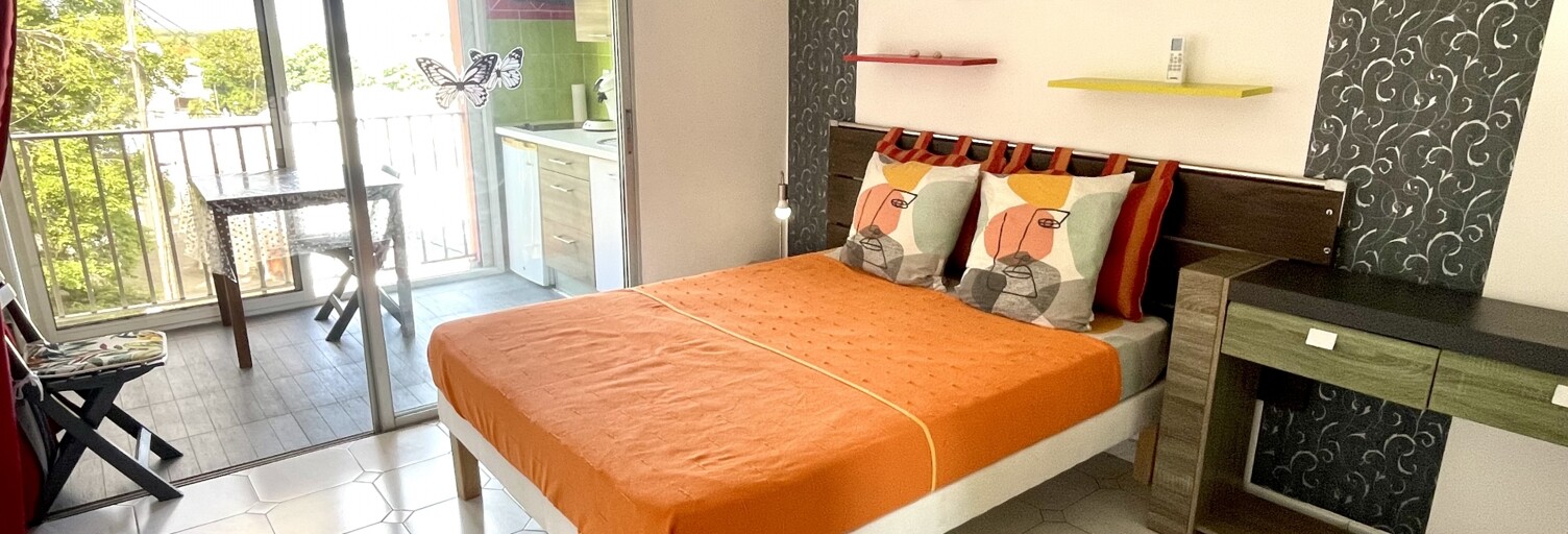 Appartement 1 Pièce 22 m² à vendre à Saint-François (97118)