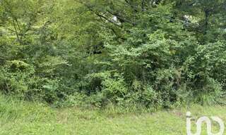 Terrain  10388 m² à vendre à Bonnefont (65220)